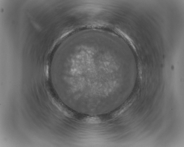 X0000081280067200701251638