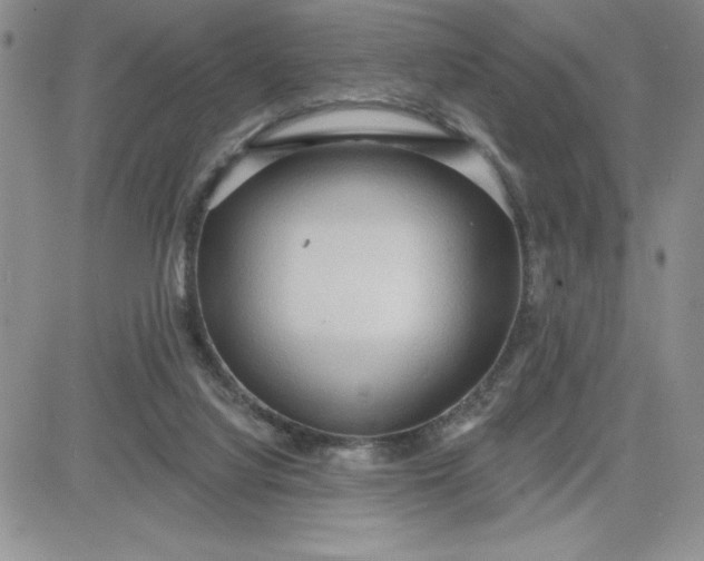 X0000081280068200701251638