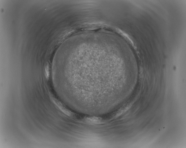 X0000081280069200701251638