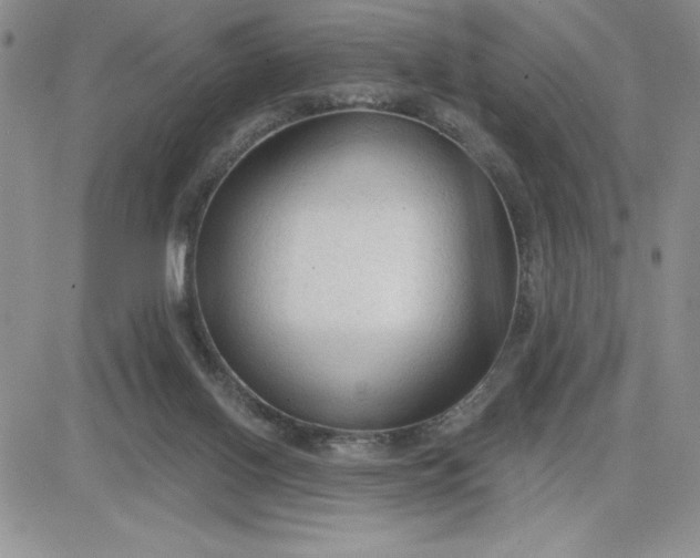 X0000081280070200701251638