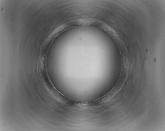 X0000081280071200701251638