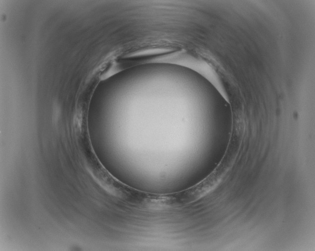 X0000081280072200701251638