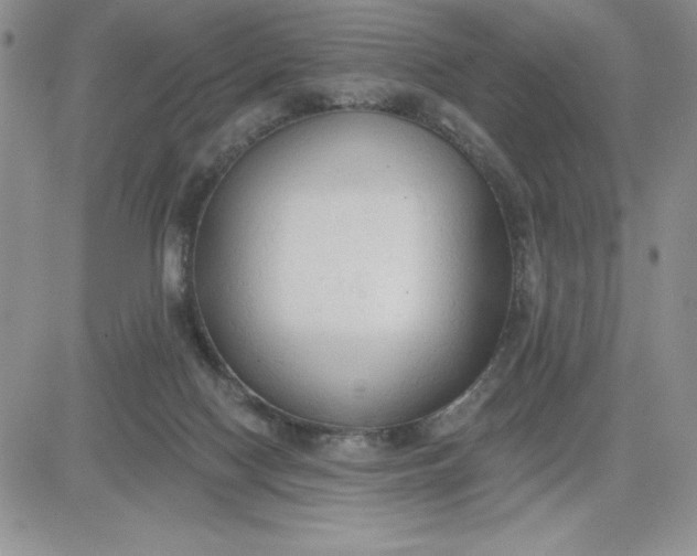 X0000081280074200701251638