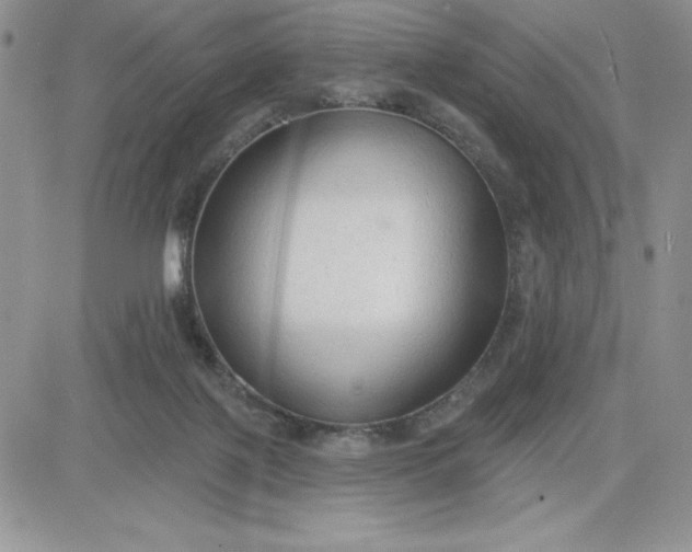 X0000081280075200701251638