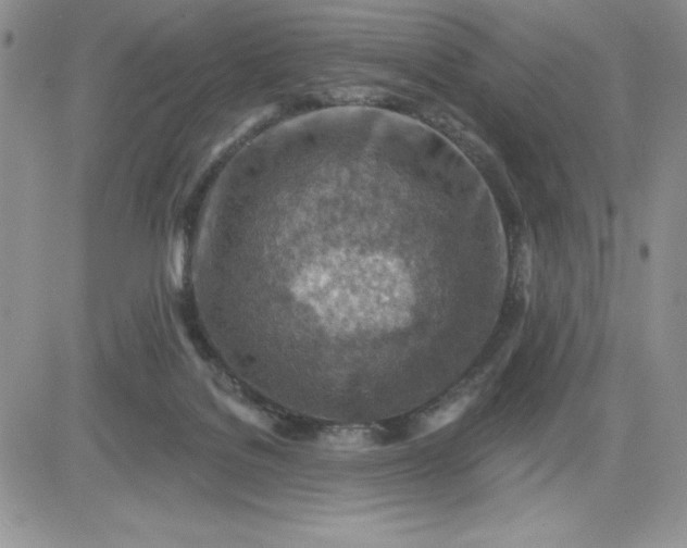 X0000081280076200701251638