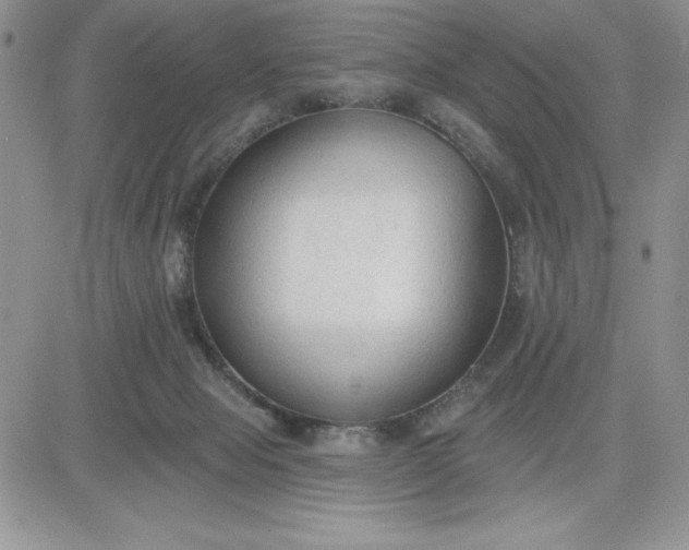 X0000081280077200701251638