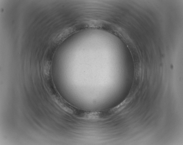 X0000081280078200701251638