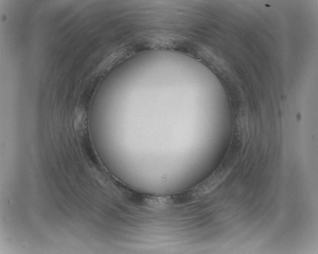 X0000081280079200701251638