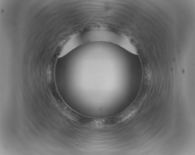 X0000081280080200701251638