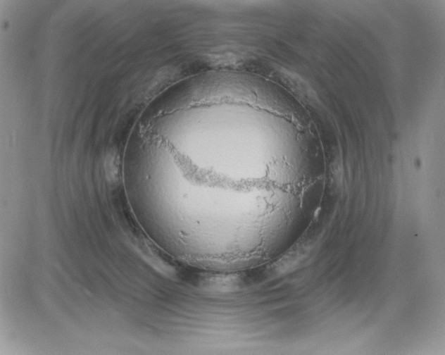 X0000081280081200701251638