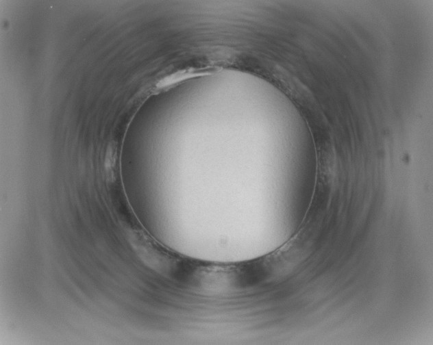 X0000081280082200701251638