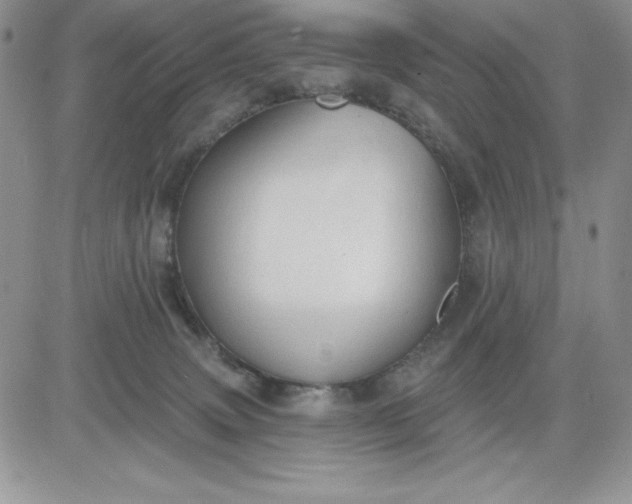 X0000081280083200701251638