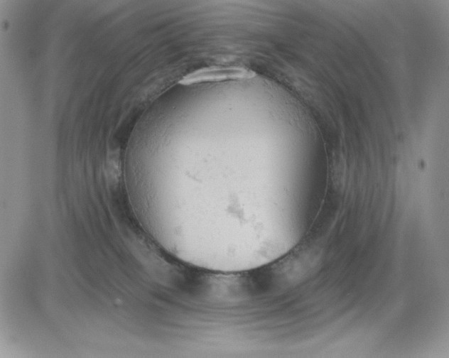 X0000081280085200701251638