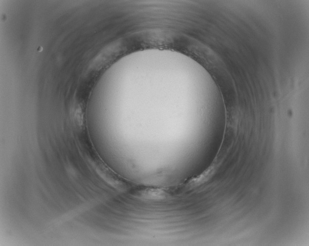 X0000081280086200701251638