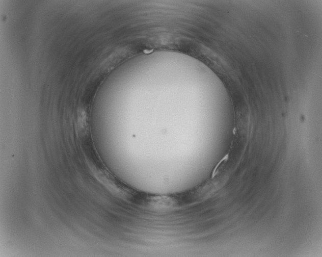 X0000081280087200701251638