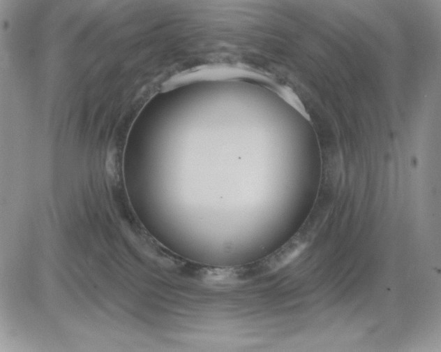 X0000081280088200701251638