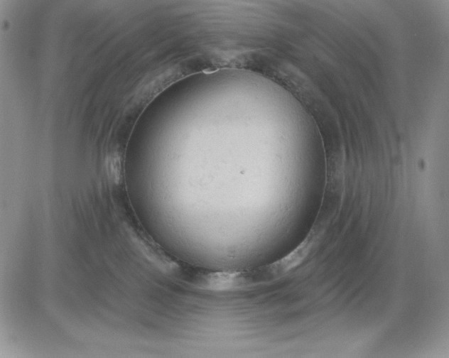 X0000081280090200701251639