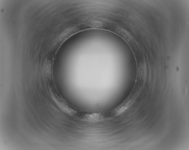 X0000081280092200701251639