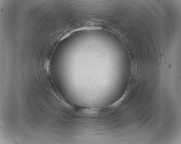 X0000081280094200701251639