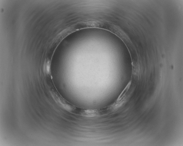 X0000081280095200701251639