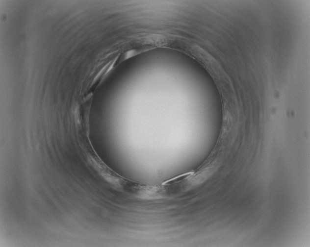 X0000081280096200701251639