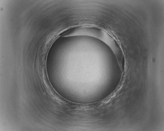 X0000081280097200701251638