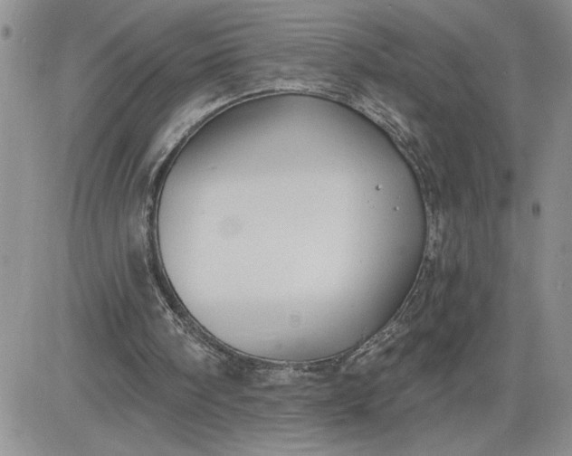 X0000081280098200701251638