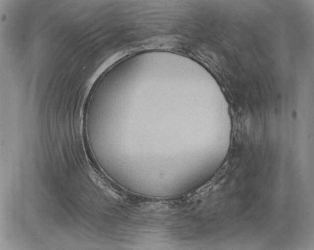 X0000081280100200701251638