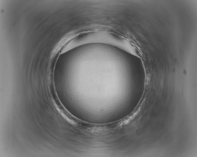 X0000081280101200701251638