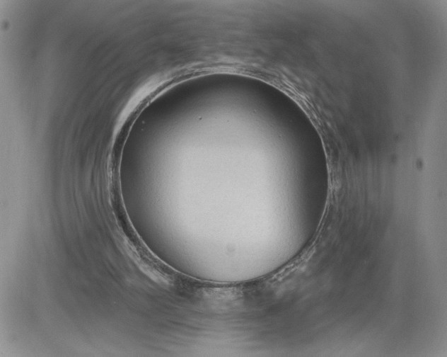 X0000081280102200701251638