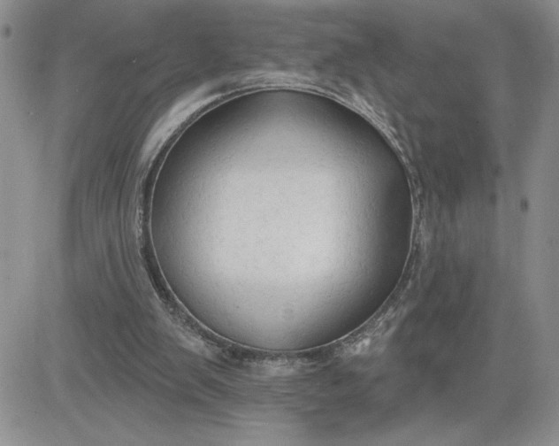 X0000081280103200701251638