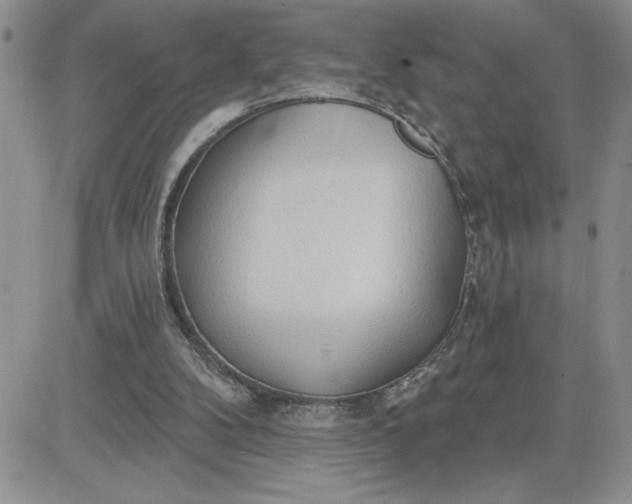 X0000081280104200701251638