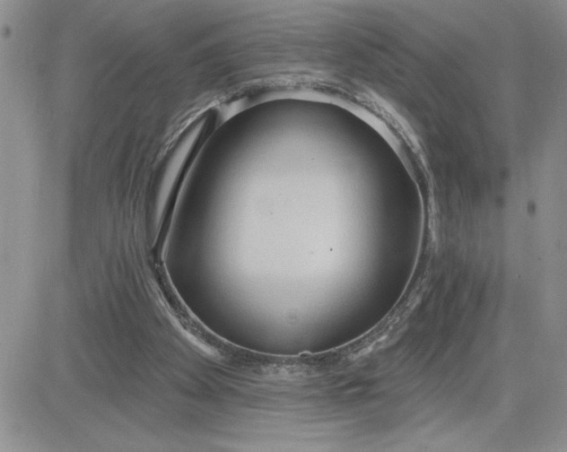 X0000081280105200701251638