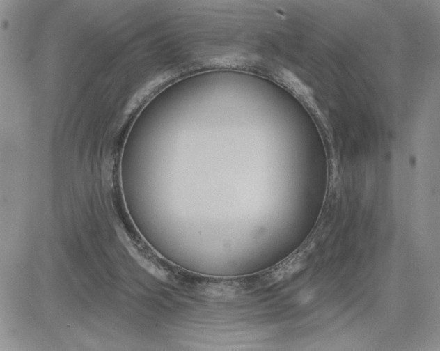 X0000081280106200701251638