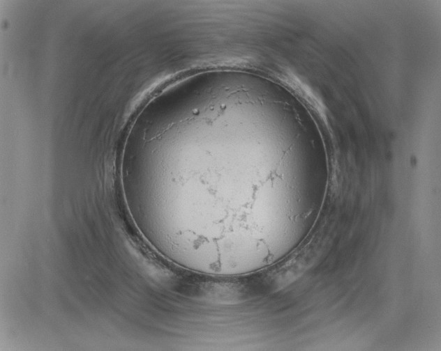 X0000081280107200701251638