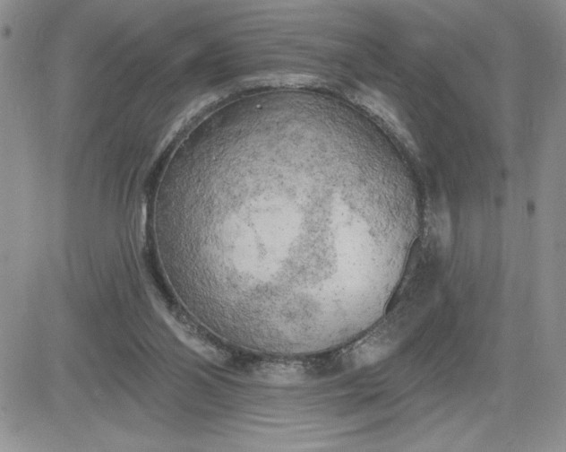 X0000081280110200701251638