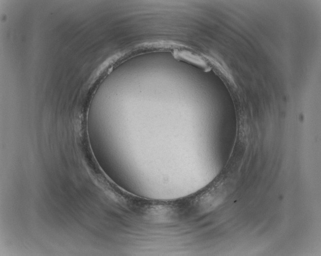 X0000081280111200701251638