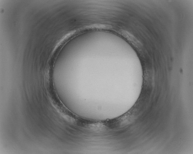 X0000081280112200701251638