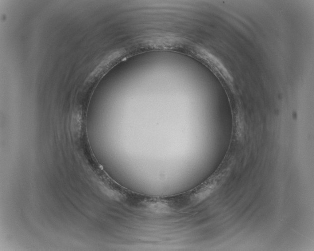 X0000081280113200701251638