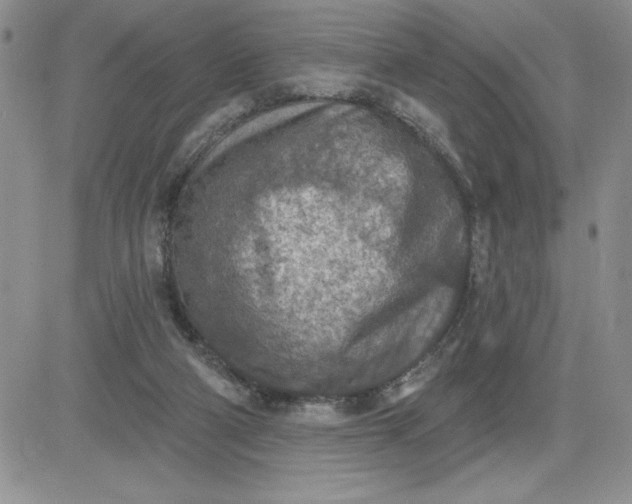 X0000081280114200701251638