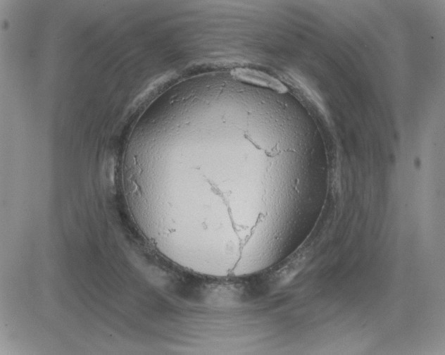 X0000081280115200701251638