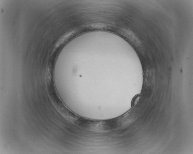 X0000081280116200701251638