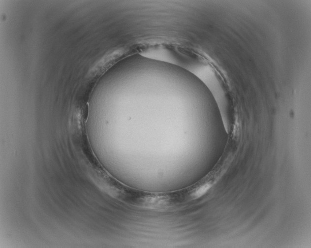 X0000081280117200701251638