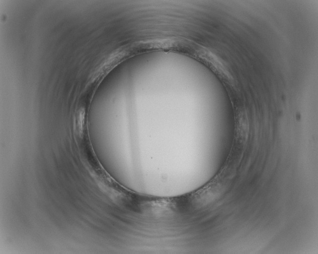 X0000081280118200701251637