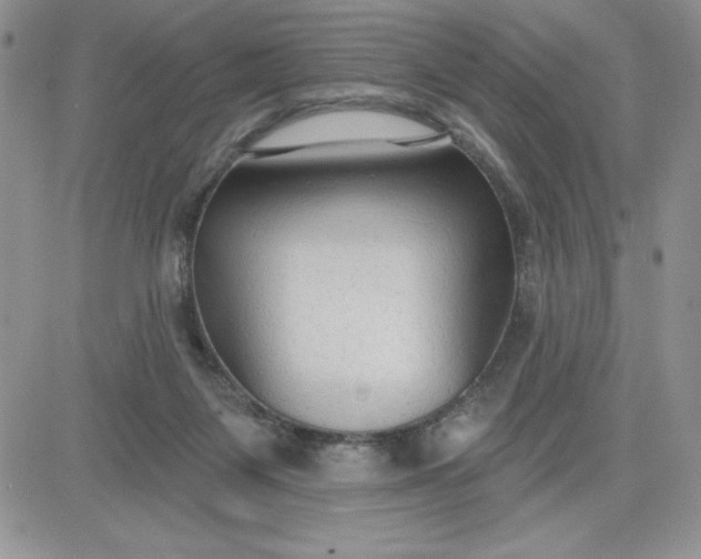 X0000081280119200701251637