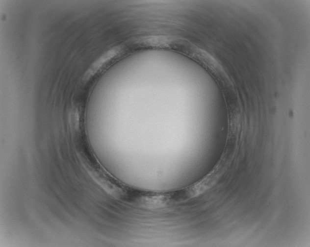 X0000081280120200701251637