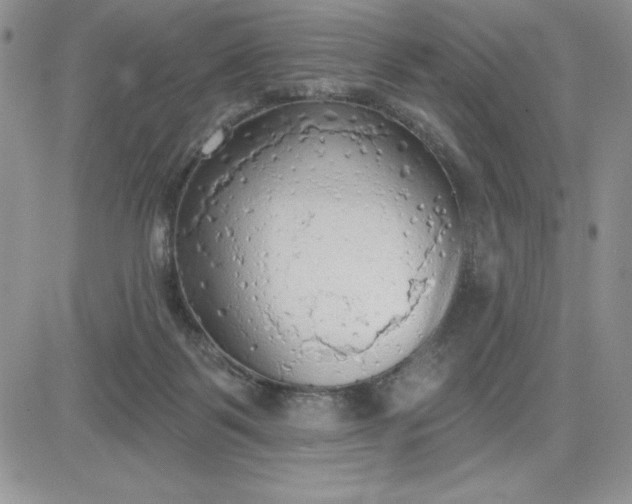 X0000081280123200701251637