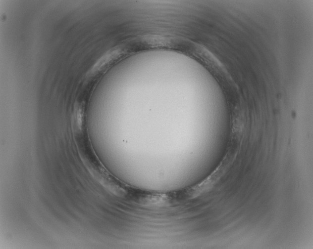 X0000081280124200701251637