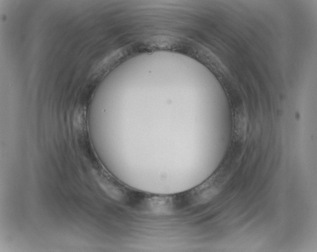 X0000081280126200701251637