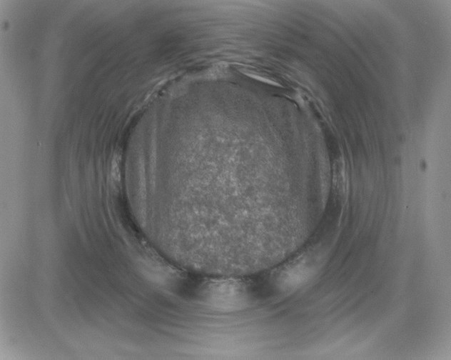 X0000081280127200701251637